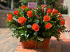 Arreglo de 25 rosas