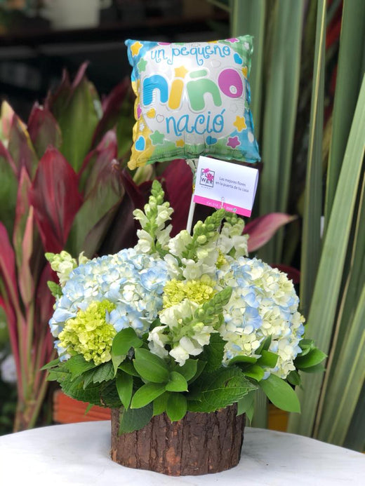 Arreglo de Bienvenida