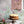 Jollie Brunch (Best Seller)